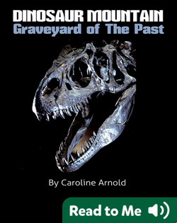 Dinosaur Mountain: Graveyard Of The Past