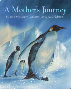 A Mother's Journey