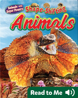 Shape-Shifting Animals