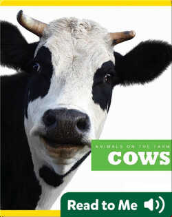 Cows