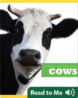 Cows