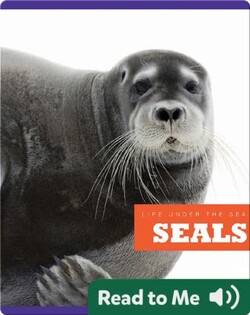 Seals