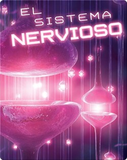 El sistema nervioso