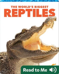 The World's Biggest Reptiles