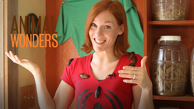 Creepy Crawly Halloween Special