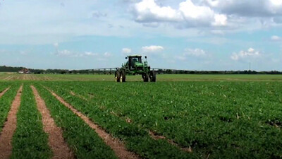Agriculture - Sustainable Farming
