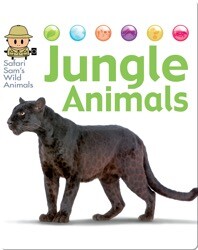Jungle Animals