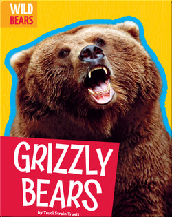 Grizzly Bears