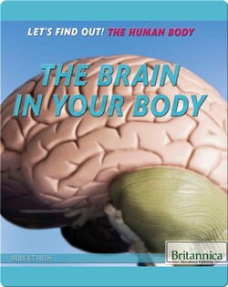 The Brain in Your Body