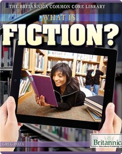 What Is Fiction?