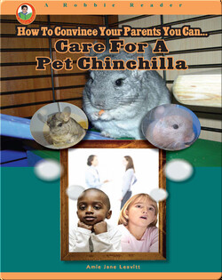 Care for a Pet Chinchilla