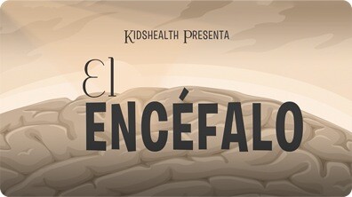 El cerebro y el sistema nervioso
