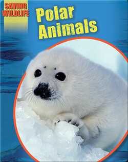 Polar Animals
