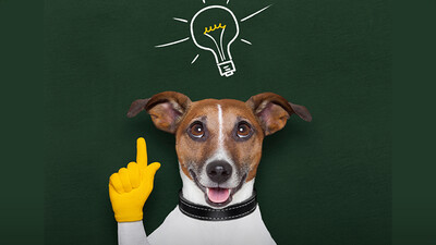 How Smart Is Your Dog?