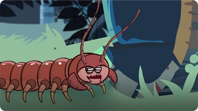 I'm a Centipede