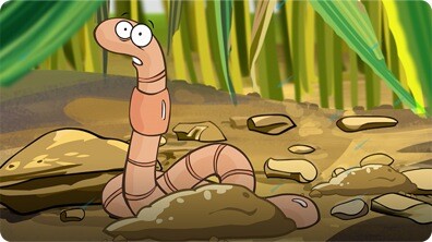 I'm a Worm