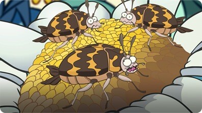 I'm a Carpet Beetle