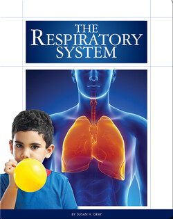 The Respiratory System