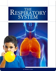 The Respiratory System