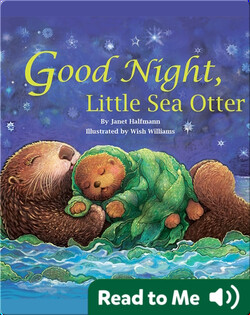 Good Night, Little Sea Otter