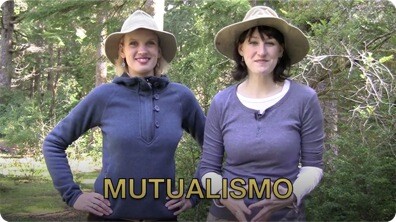 Las Polillas de Yucca (En Espanol)