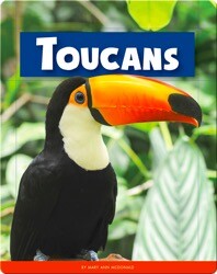 Toucans