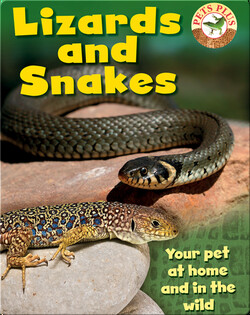 Lizards and Snakes