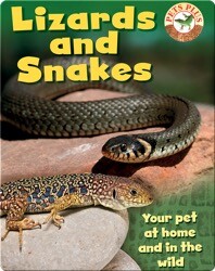 Lizards and Snakes