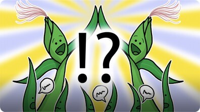 The Secret Social Life of Plants
