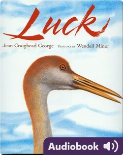 Luck