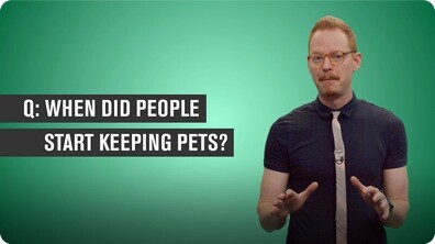 When Did People Start Keeping Pets?