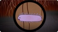 The Hidden Perils of Permafrost