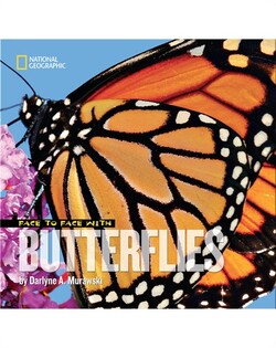 Face to Face with Butterflies