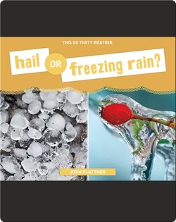Hail or Freezing Rain?