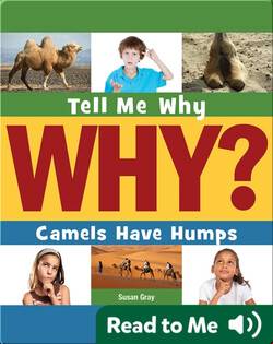 Camels Have Humps