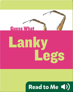 Lanky Legs