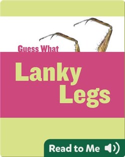 Lanky Legs