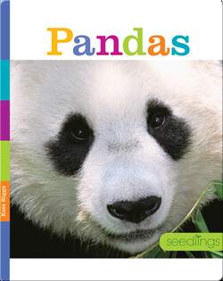 Pandas