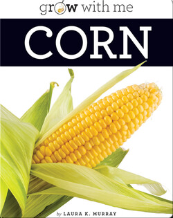 Corn