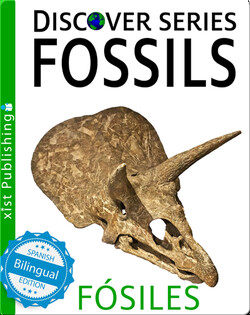 Fossils / Fósiles