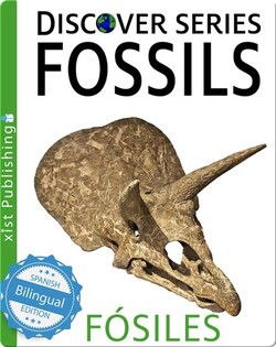 Fossils / Fósiles