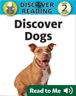 Discover Dogs
