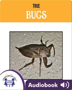 True Bugs