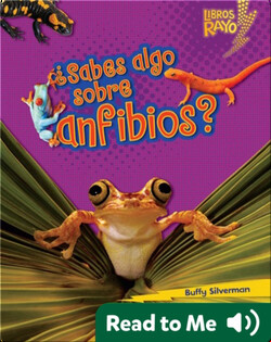 ¿Sabes algo sobre anfibios? (Do You Know about Amphibians?)