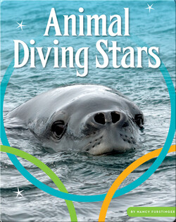 Animal Diving Stars