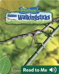 Hidden Walkingsticks