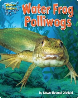 Water Frog Polliwogs