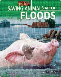 Saving Animals After Floods
