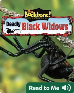 Deadly Black Widows