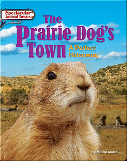 The Prairie Dog's Town: A Perfect Hideaway